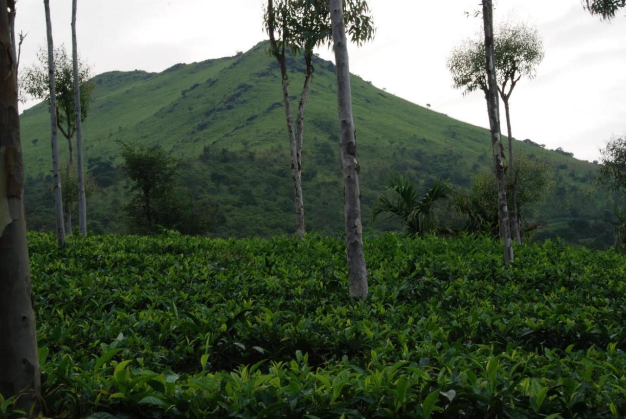 Hotel Tea Terrace Vythiri Wayanad Exteriér fotografie