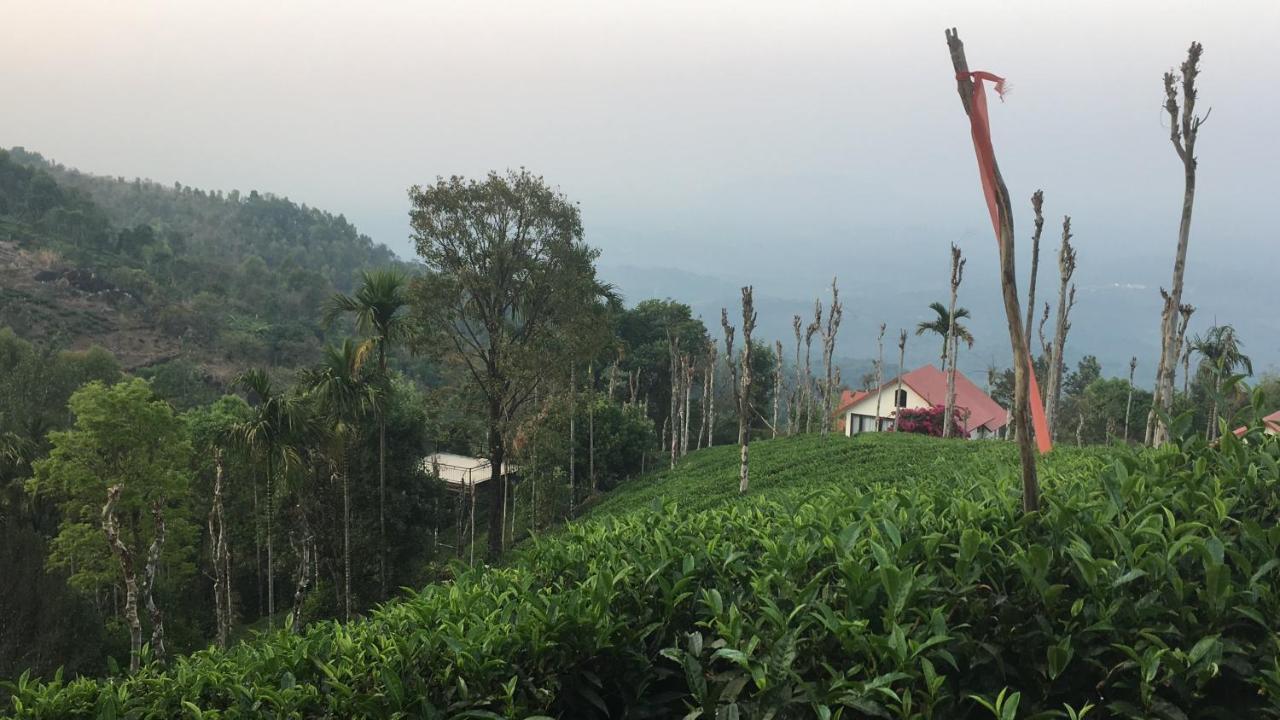 Hotel Tea Terrace Vythiri Wayanad Exteriér fotografie