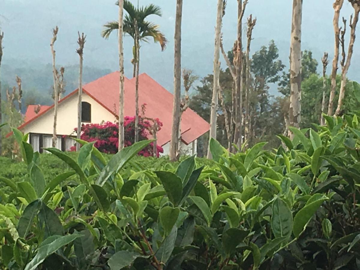 Hotel Tea Terrace Vythiri Wayanad Exteriér fotografie