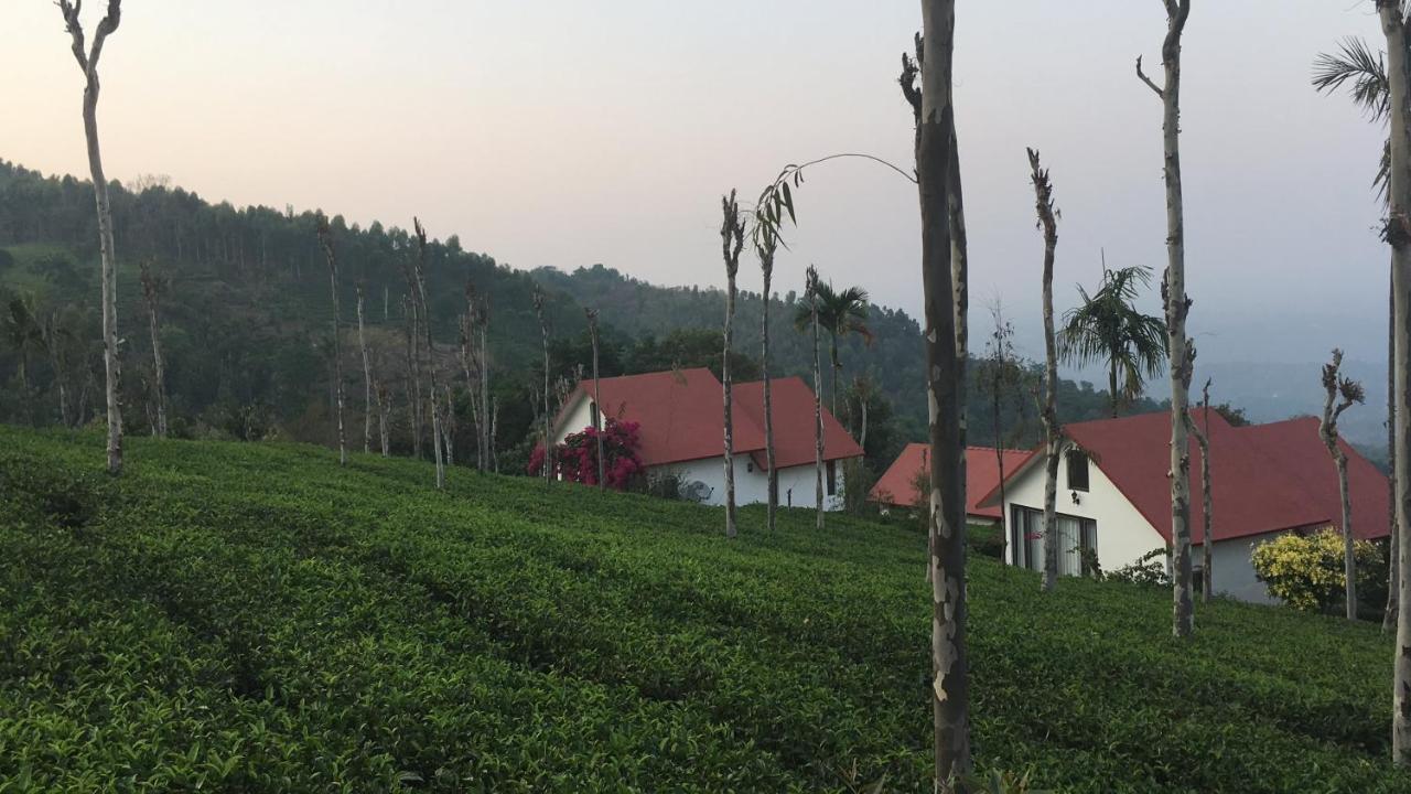 Hotel Tea Terrace Vythiri Wayanad Exteriér fotografie
