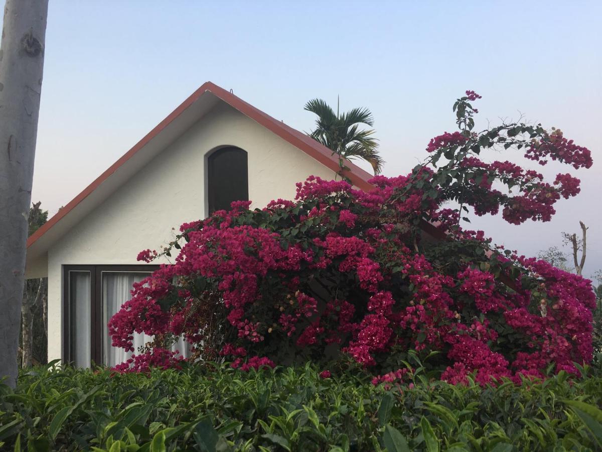 Hotel Tea Terrace Vythiri Wayanad Exteriér fotografie