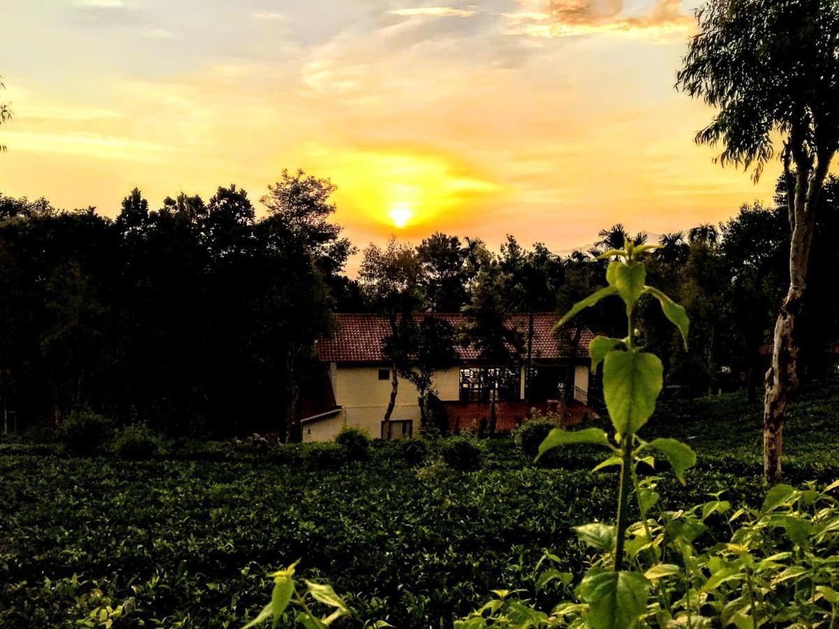 Hotel Tea Terrace Vythiri Wayanad Exteriér fotografie