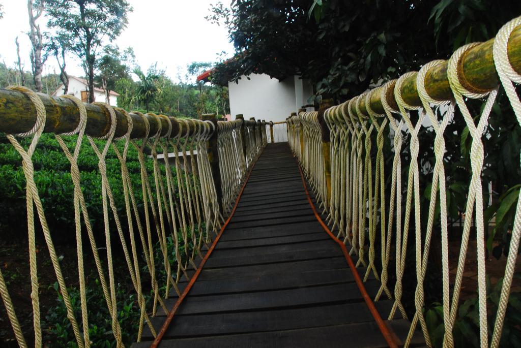 Hotel Tea Terrace Vythiri Wayanad Exteriér fotografie